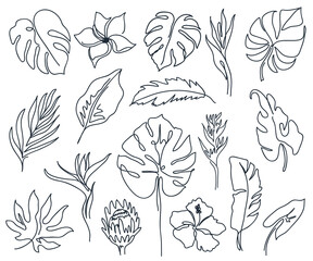 Set of linear various flowers, monstera leaves and other leaves. Black and white art. Minimal outline silhouette.
