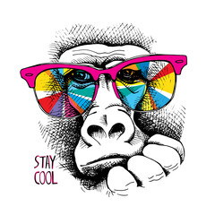 Vector illustration. Portrait of Monkey in a rainbow color glasses. Stay cool - lettering quote. Poster, t-shirt composition, hand drawn style print.
