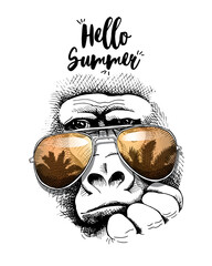 Vector illustration. Portrait of Monkey in a sunglasses. Hello summer - lettering quote. Poster, t-shirt composition, hand drawn style print.