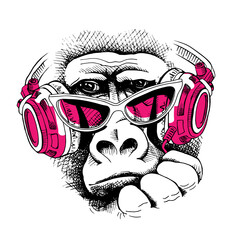 Vector illustration. Portrait of Monkey in a pink glasses and in a headphones. Poster, t-shirt composition, hand drawn style print.