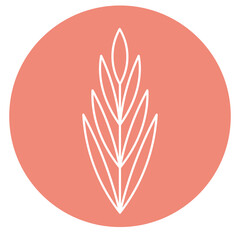 Plants set. Icon set. Stickers. Pastel colors. Floral buttons. Web