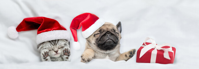 Kitten and Pug puppy wearing santa hats sleep together with gift box under a white blanket on a bed...