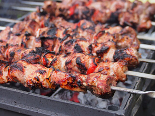 Shashlik on skewers is prepared on the grill over the coals.  Marinated meat is cooked on coals.
