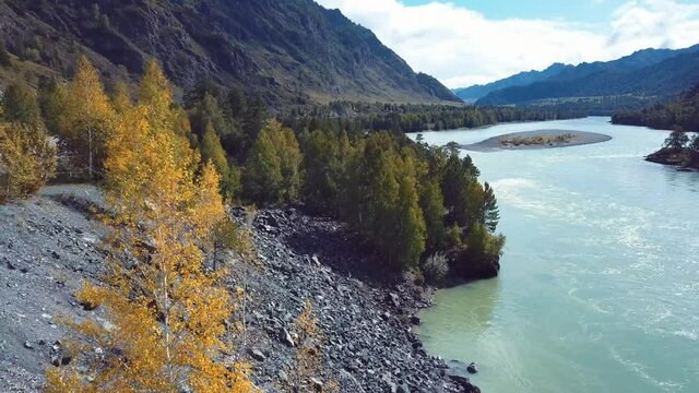 4K Aerial Footage Video of the Autumn Landscapes and Mountain River on the Chemal Tract in the Altai Mountains, Russia