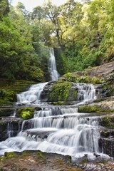 Fototapeta na wymiar New Zealand, short native Southland bush walk takes you to a spectacular 22 metre cascade McLean Falls. This waterfall is located on the Tautuku River in Catlins Conservation Park.