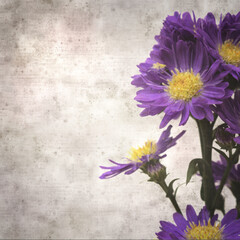 stylish textured old paper background with small purple autumn aster inflorescence 