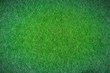 Dark green grass, green field, artificial grass as a natural background.