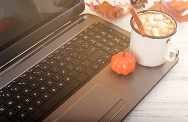  hot chocolate with marshmallows and cinnamon on a laptop on a white table, pumpkin, autumn