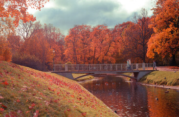 pond among autumn trees with orange foliage on a sunny day, russia