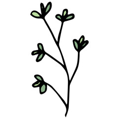 Doodle twig and green leaves. Black outline. Vector plants illustration. White background. Summer and spring greenery.