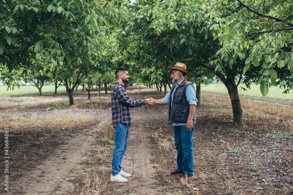 Wall mural ranchers handshake in walnut orchard