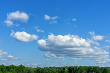 sky and clouds over the tops of the horizon trees