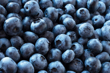 Fresh Blueberry Background. Texture blueberry berries close up. Various fresh summer berries. Blue food.