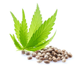Hemp seeds with cannabis leaves on white background