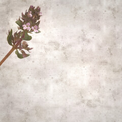 square stylish old textured paper background with sprig of thyme