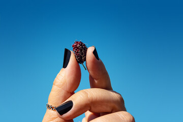 Uma amora entre dedos femininos com unhas pintadas de preto com fundo azul.