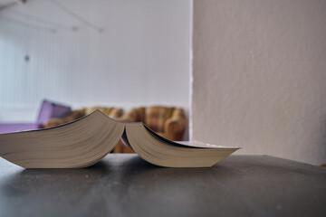 A thick book standing on wooden and black table together with blurred wall and in house background.