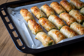 Turkish borek rolls with spinach and cheese on the white plate. A traditional Turkish pastry, Turkish name; rulo borek or sigara boregi.