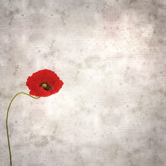 stylish textured old paper square background with red poppy Papaver rhoeas