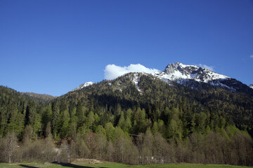 Obraz premium landscape in the mountains