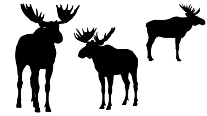 pack of moose vector silhouette illustration isolated on white background