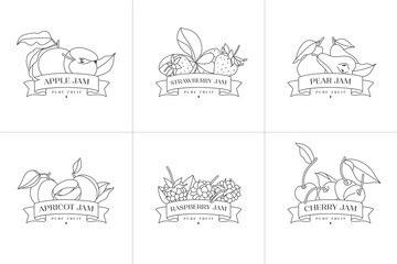 Obraz premium Vector illustration set of retro design labels with apple, apricot, pear, strawberry and raspberry, cherry fruits - simple .linear style. Emblems composition with fruits and typography