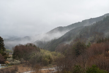霧の村