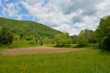 The late May landscape near the village of Cemur in Udine Province, Friuli-Venezia Giulia, north east Italy
