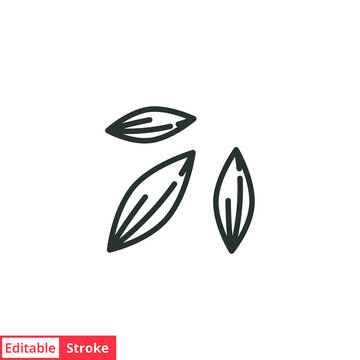 Spice cumin line icon. Simple outline style. Aromatic, brown, caraway, herb, cuisine, seed, diet, slim, nature aroma concept. Vector illustration isolated on white background. Editable stroke EPS 10.
