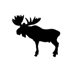 vector illustration of a moose silhouette isolated on white background