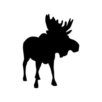 vector illustration of a moose silhouette isolated on white background