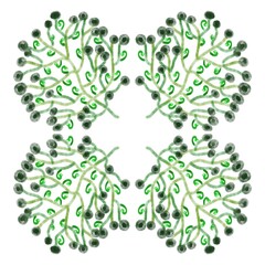 Art flower. Green flower. Draw flowers from watercolor. Beautiful plants.  Gouache Florals. Valentine's Day.