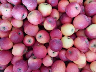 red apples background