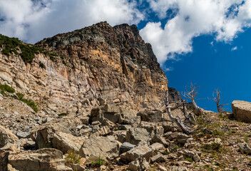 jagged peaks and dried bare trees in Apikuni Falls trail in Glacier national park in summer.