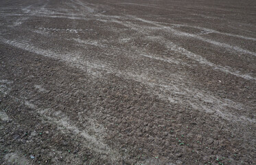 Agriculture. Tractor cultivated land. A field with traces of wheeled vehicles in early spring for sowing cereals.