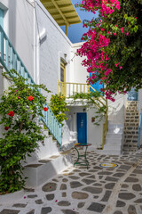 Fototapeta na wymiar Traditional Cycladitic alley with a narrow street, whitewashed houses and a blooming bougainvillea in Parikia, Paros island, Greece