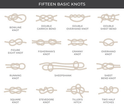 Vector set of fifteen basic nodes with names. Isolated on white background.