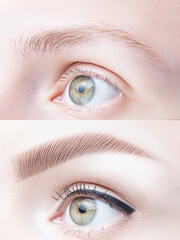 Close up, macro of female brow before and after. Long term eyebrow lamination, tint, shaping, makeup