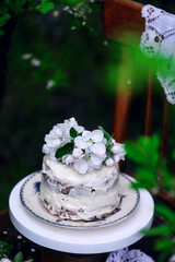 Carrot Cake  with Cream Cheese Frosting..selective focus