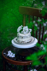 Carrot Cake  with Cream Cheese Frosting..selective focus