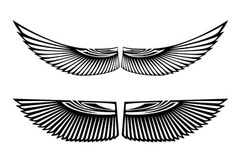 pair of wide spread bird wings - ancient egyptian style black and white vector design set