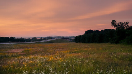 Countryside with wildflowers, road and mountains