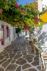 Traditional Cycladitic alley with a  narrow street, whitewashed facade of a house and a blooming bougainvillea in Naousa  Paros island, Greece.