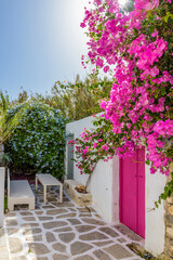 Fototapeta na wymiar Traditional Cycladitic alley with a narrow street, whitewashed facade of a house and a blooming bougainvillea in Naousa Paros island, Greece.