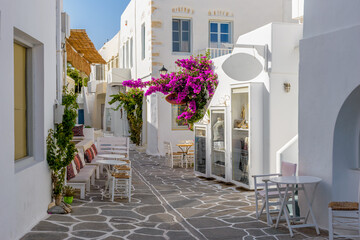 Traditional Cycladitic alley with a  narrow street, whitewashed facade of a house and a blooming bougainvillea in Naousa  Paros island, Greece.