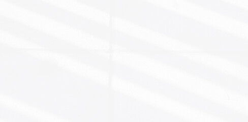 Obraz premium Abstract Shadow. blur background. gray leaves that reflect concrete walls on a white wall surface for blurred backgrounds and monochrome wallpapers.