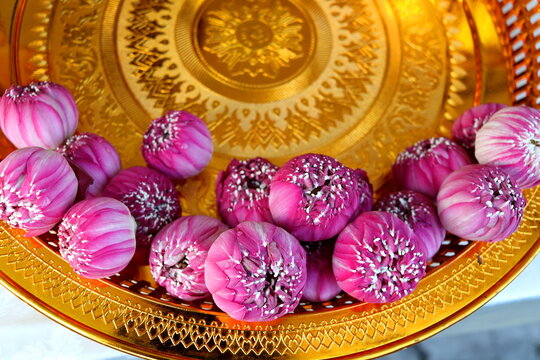 Top view of  pink-purple lotus flowers on gold color tray(Thai ancient style) in temple, The lotus flower take out of outer petal in round shape, Thailand.
