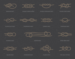 Vector set of fifteen basic nodes with names. Isolated on dark background. - obrazy, fototapety, plakaty