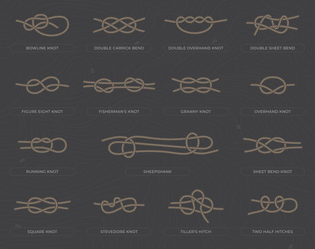 Vector set of fifteen basic nodes with names. Isolated on dark background.
