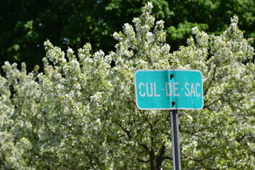 A dead end street near the apple trees in bloom